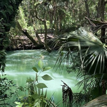 Green Springs Park - Green Springs! - Hiking Near Me - Deltona, Florida