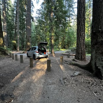 La Wis Wis Campground - 8/24/25 - Campgrounds Near Me - Randle, Washington La Wis Wis Campground - 8/24/25 - Campgrounds Near Me - Randle, Washington