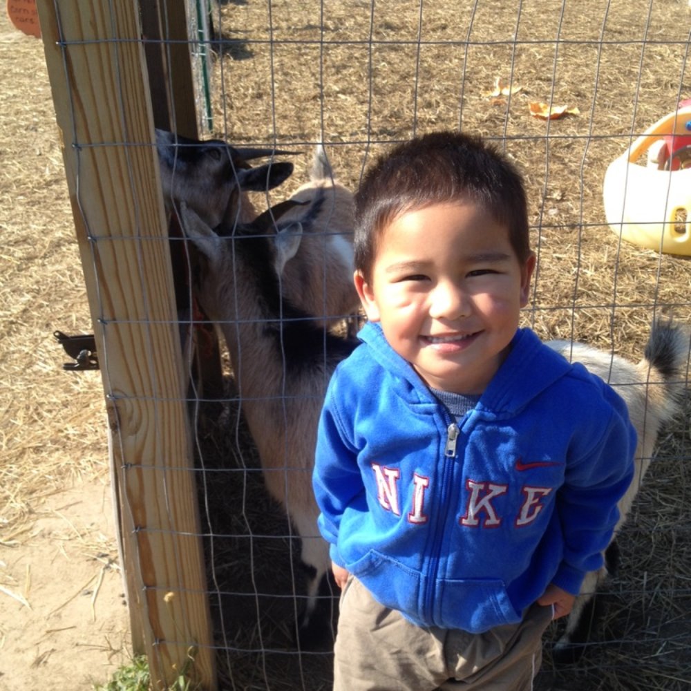 Hickory Ridge Farm - My son with the goats! - Farmers Market Near Me - Chesapeake, Virginia