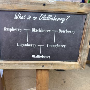 Avila Valley Barn - What is an Olallieberry? Who the fudge knows? Now you do. - Fruits & Veggies Near Me - San Luis Obispo, California Avila Valley Barn - What is an Olallieberry? Who the fudge knows? Now you do. - Fruits & Veggies Near Me - San Luis Obispo, California