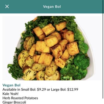 Bolay - Vegan Bol - New American Near Me - Orlando, Florida