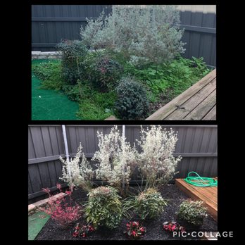 Soto Bros Landscaping - Garden cleanup, trimming, herbicide, planting, and mulching, in that order . - Landscaping Near Me - Aubrey, Texas Soto Bros Landscaping - Garden cleanup, trimming, herbicide, planting, and mulching, in that order . - Landscaping Near Me - Aubrey, Texas