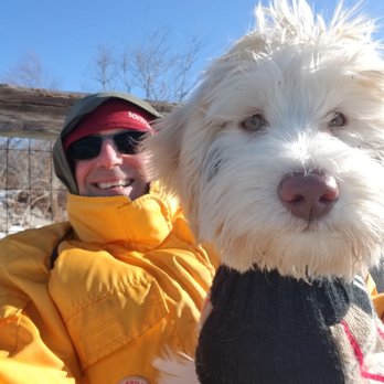 Dog Commander - Pet Training Near Me