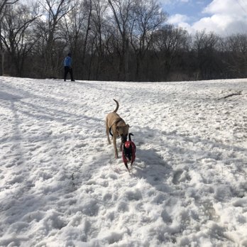 Minnehaha Off-Leash Recreation Area - Dog Parks Near Me - Minneapolis, Minnesota Minnehaha Off-Leash Recreation Area - Dog Parks Near Me - Minneapolis, Minnesota