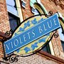 Photo of Violets Blue