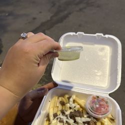 Gigi's Mexican Peruvian Fusion - Carne asada fries with everything on the side, this is what I got couldn't even bother filling the guacamole half way