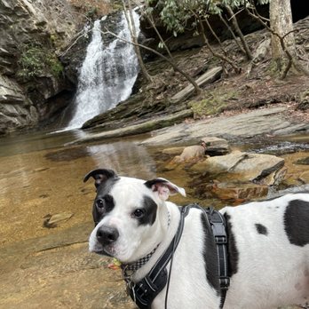 Hanging Rock State Park - Waterfall pool - Parks Near Me - Westfield, North Carolina