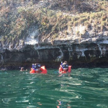 Los Arcos - Had to keep the mouth piece on so I didn't have to drink the dirty water, cool arc though - Snorkeling Near Me - Puerto Vallarta, JAL