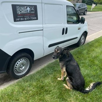 Surelock Homes Locksmith - Most days I have to bring my mascot with me. - Keys & Locksmiths Near Me Surelock Homes Locksmith - Most days I have to bring my mascot with me. - Keys & Locksmiths Near Me
