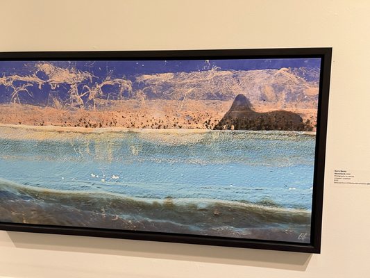 Cape Cod Museum of Art by null