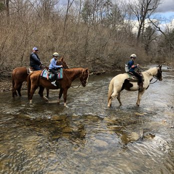 The Rocking S Ranch - Horseback Riding Near Me - Winchester, Virginia