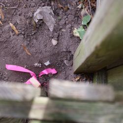 James River Surveying - We locate all your property corners. These fences were correctly built along property lines. Many times they are not!