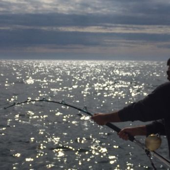 Fishing Frenzy Charters - Glorious day - Fishing Near Me - Boston, Massachusetts