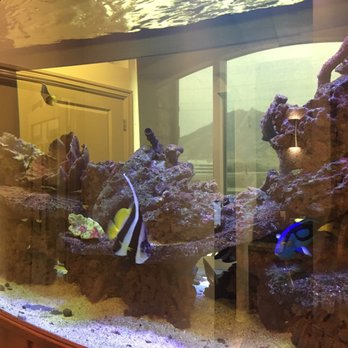 Focus Dental Group - Aquarium - General Dentistry Near Me - Midvale, Utah