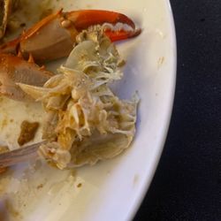 Mackey's Crab House - Mushy nonsense.