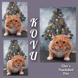 Chers Pawlished Pets