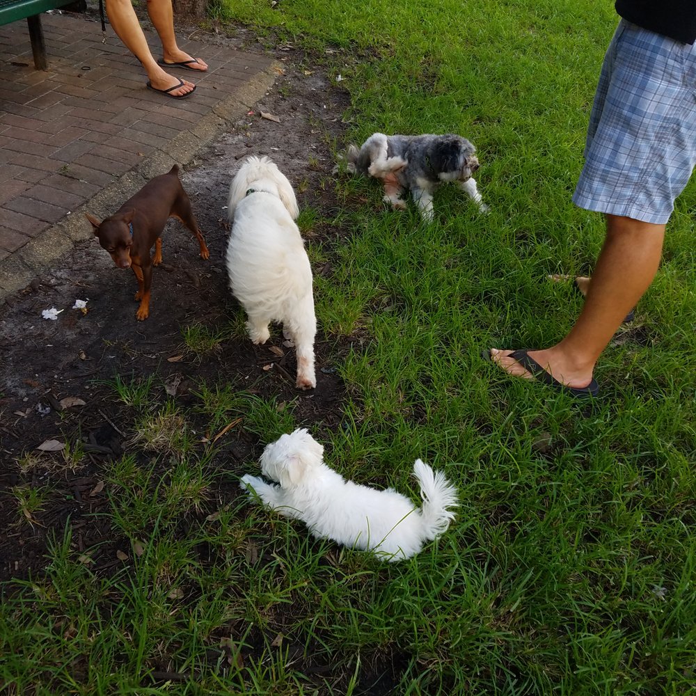 Oakland Bark - Dog Parks Near Me - Oakland Park, Florida Oakland Bark - Dog Parks Near Me - Oakland Park, Florida