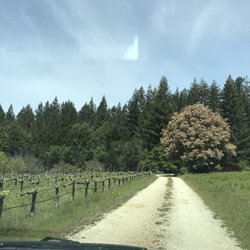 McHenry Vineyard - Almost there....