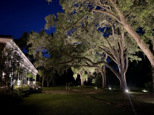 The Myrtles by null