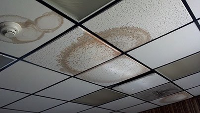 Slide of Lens Reroofing and Repairs