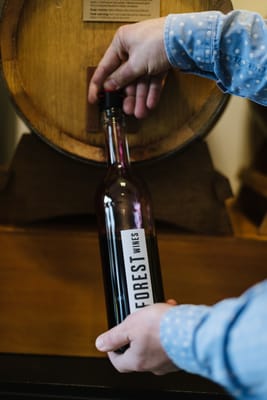 Forest Wines by null