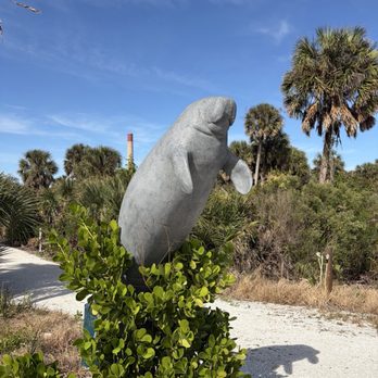 Manatee Viewing Center - Zoos Near Me - Apollo Beach, Florida