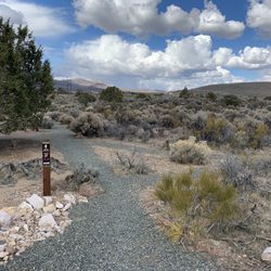 Carson Ridge Disc Golf - Start of 1st hole on stadium course