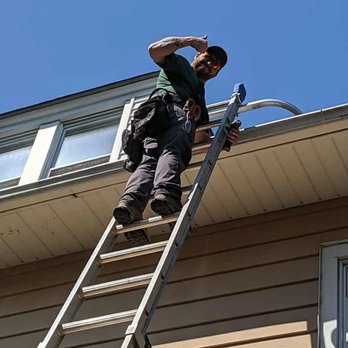 UFO Nuisance Wildlife Control - Wildlife Control Near Me UFO Nuisance Wildlife Control - Wildlife Control Near Me