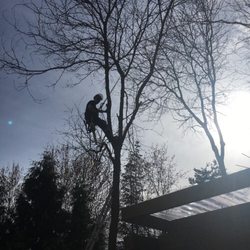 Ruby Tree Care
