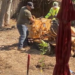 Stump grinding