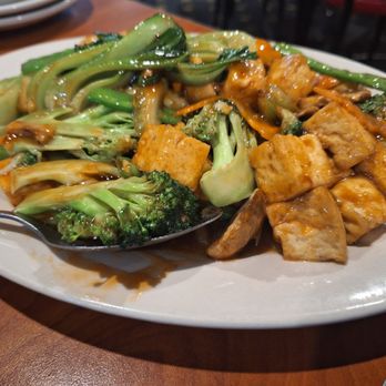 Lotus Garden Restaurant - Tofu with vegetables - Chinese Near Me - Indianapolis, Indiana Lotus Garden Restaurant - Tofu with vegetables - Chinese Near Me - Indianapolis, Indiana