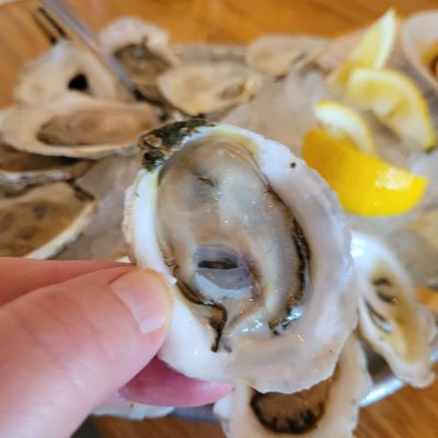 SoPo Seafood by null