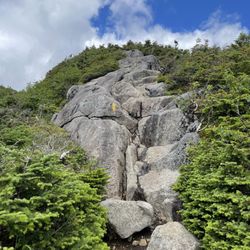 Van Hoevenberg Trail