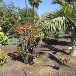 Parque Botanico