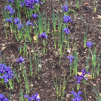 Chicago Botanic Garden - Botanical Gardens Near Me - Glencoe, Illinois