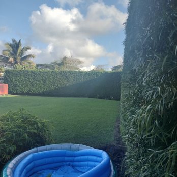 Zackscapes - Tree Services Near Me Zackscapes - Tree Services Near Me
