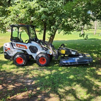 Reliable Tree Service - Tree Services Near Me