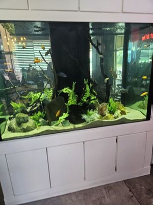 Sharky's Waterfront Grill by null