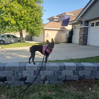 RCP Block & Brick - Gray Cottage Stone. Our dog approves. - Home & Garden Near Me - Murrieta, California RCP Block & Brick - Gray Cottage Stone. Our dog approves. - Home & Garden Near Me - Murrieta, California