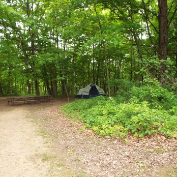 Wildcat Mountain State Park - A view of the rear section of group campsite B - Parks Near Me - Ontario, Wisconsin Wildcat Mountain State Park - A view of the rear section of group campsite B - Parks Near Me - Ontario, Wisconsin