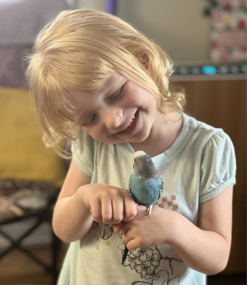 Hendersonville Pet Shop Image