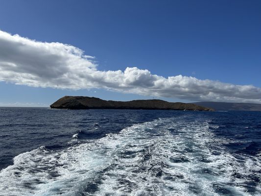 Molokini Crater by null