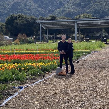 Earthbound Farm Stand - Pick your own Tulips! - Organic Stores Near Me - Carmel, California