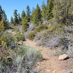 Spence Mountain Trailhead