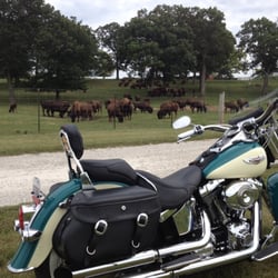 Lester's Bison Farm