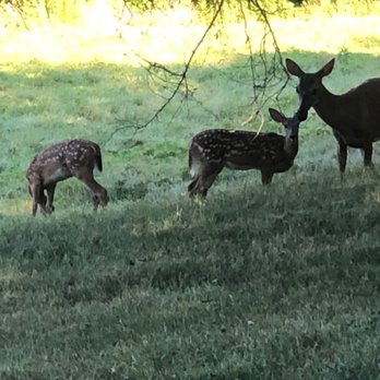 World's End - Deer Planter's Hill, Worlds End. - Parks Near Me - Hingham, Massachusetts