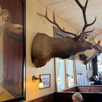 Antlers Cafe & Bar - Antlers - New American Near Me - Yampa, Colorado Antlers Cafe & Bar - Antlers - New American Near Me - Yampa, Colorado