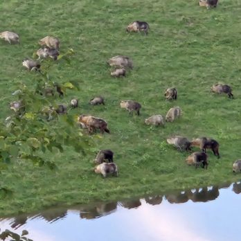 The Wilds - Takin - Parks Near Me - Cumberland, Ohio