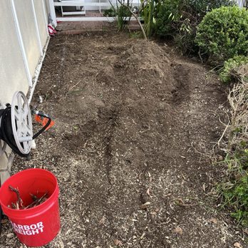 PRG Tree Care - Tree Services Near Me