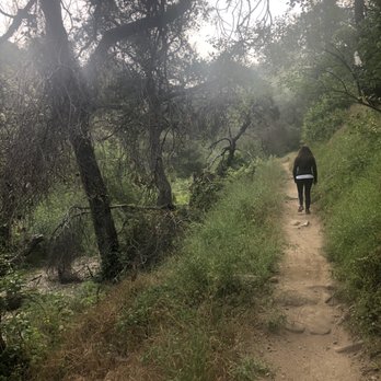 El Prieto Trail - Most of the trail is pretty narrow and it is popular with mountain bikers - Hiking Near Me - Pasadena, California